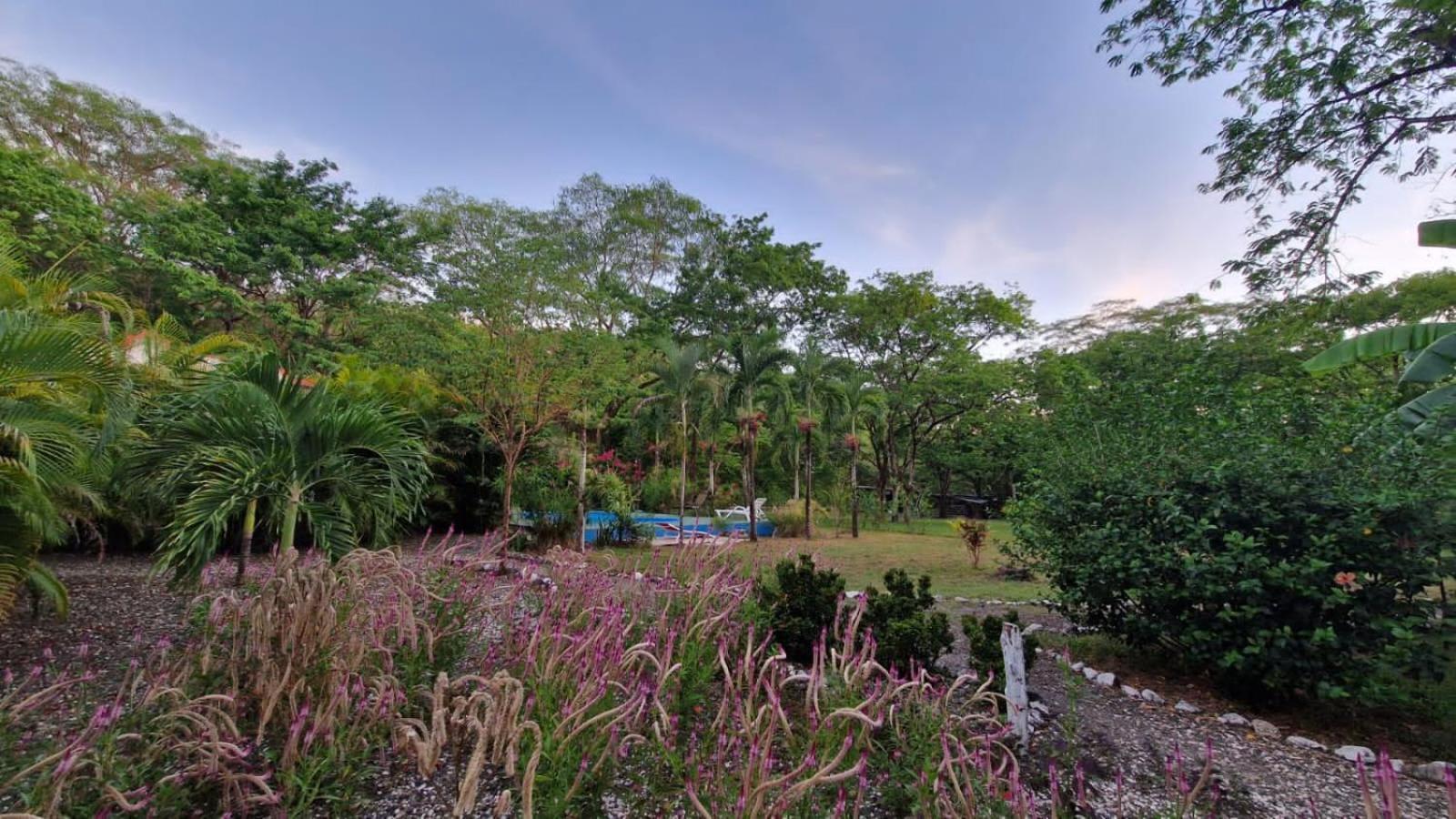 Villas Jungle 5 Sámara Eksteriør billede